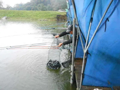 *****실시간 조황올립니다*****