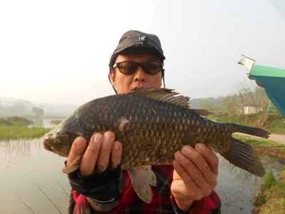 [당진 가교리지 조황 화보]