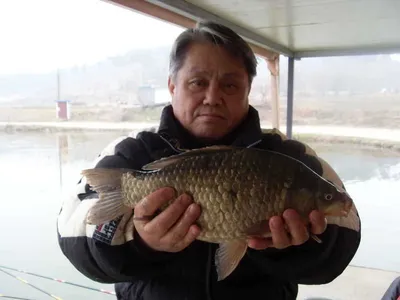 [당진 가교리지 조황정보. .]