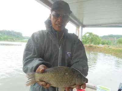 [당진 가교리지 주중 조황화보..]