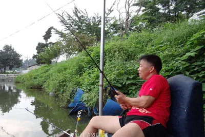 8월 22일 각평지 조황정보