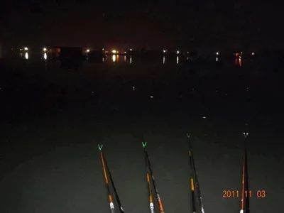 입석 낚시터11월4일 조황안내(토종댐붕어)