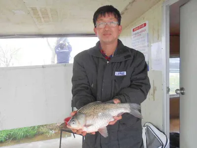 [당진 가교리지] 토종 "큰" 붕어 조황체크