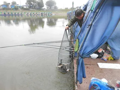 *****실시간 조황사진*****
