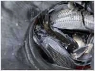 징한 손맛은 평일이 좋다~