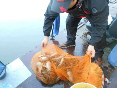 *****실시간 조황사진*****