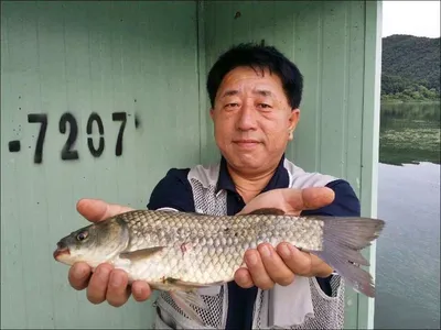 17.07.28 송전지 서울집 조황