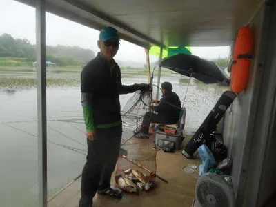 [당진 가교리지 주중 조황화보..]