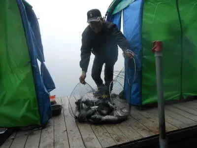 초원낚시터 조황입니다^^^