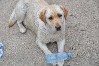 [유일낚시터] 비내리는만큼 고기도 쏟아졌습니다~~!
