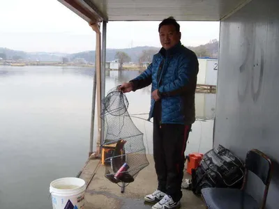 [당진 가교리지] 어자원 조성...