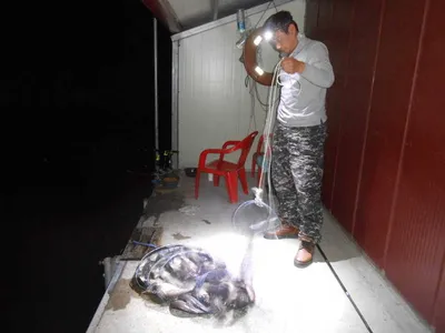 ^^조황소식&수상좌대이벤트^^