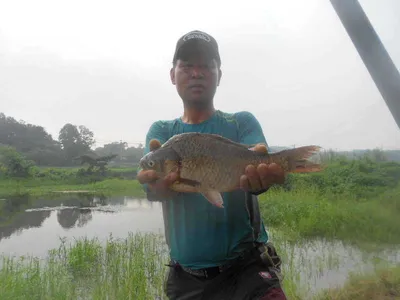 [당진 가교리지  만수위에 호조황..]