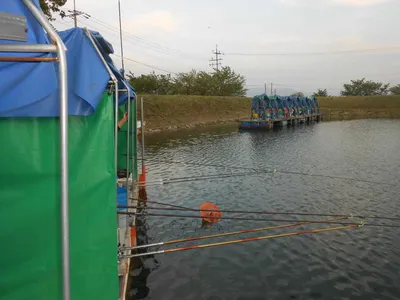 ^^조황소식&수상좌대이벤트^^