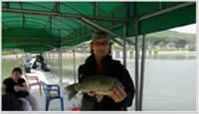 [황청지]36.5cm 월척~~