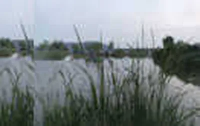 토종잡이터"<노진낚시터">조황정보