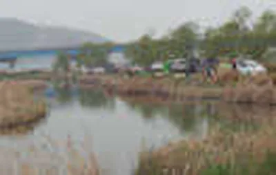 토종잡이터"<토종잡이터>"조항정보