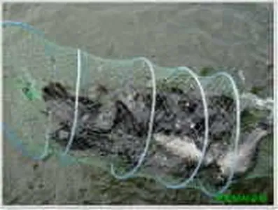 더위속에도 붕어는 잘나오네요...