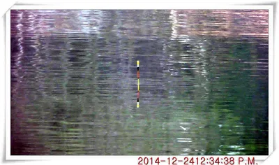 충남 아산 월선낚시터 12월 25일 스케치