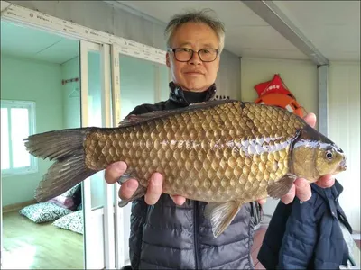 18.04.05 송전지 서울집 조황