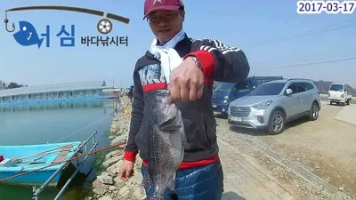하루세번방류?(3월17일어심바다낚시터조황)