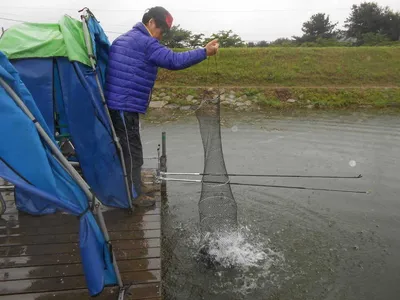 ^^조황소식&수상좌대이벤트^^