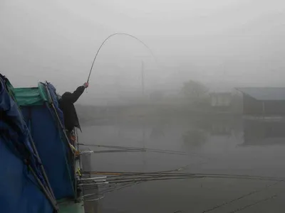 *****실시간 조황사진 올려봅니다*****