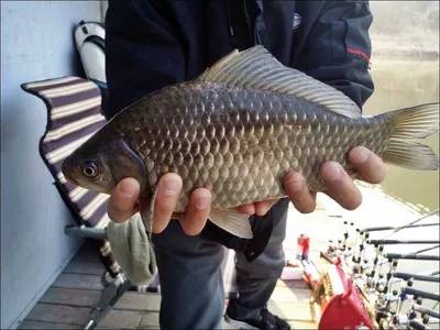 17.03.18 송전지 서울집