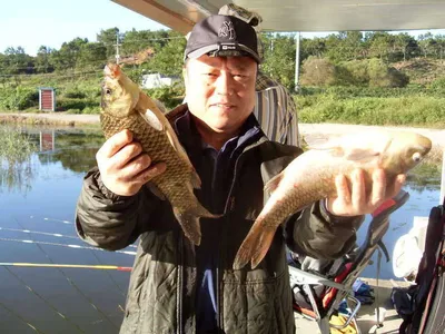 [당진 가교리지] 토종 붕어 조황...