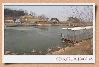 충남 아산 월선낚시터 2월 13일자 스케치