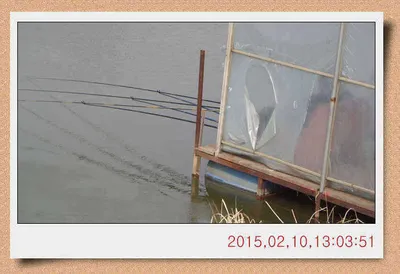 충남 아산 월선낚시터 2월 13일자 스케치