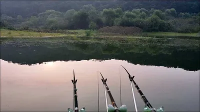 16.07.25 송전지 서울집 조황