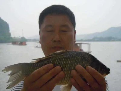 입석낚시터 수상좌대조황입니다