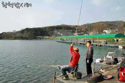 [황청낚시터]강화진달래도 구경하고 황청낚시터에서 낚시도하고 1석2조