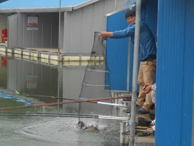 ^^조황소식&수상좌대이벤트^^