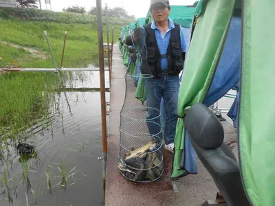 *****실시간 조황사진*****