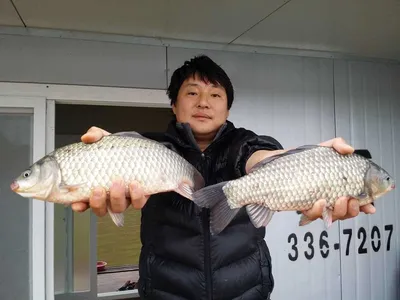 송전지서울집10월25일