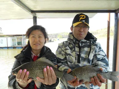 당진"가교리지" 주중 붕어들...