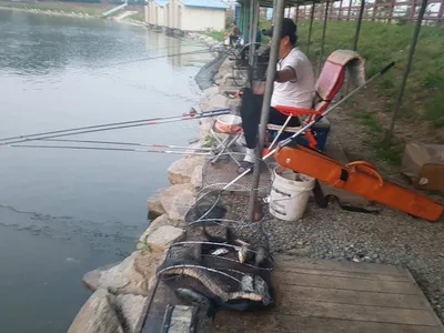 만수위의  거청낚시터 붕어조황  6월  16