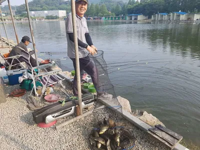 만수위의  거청낚시터 가족낚시터 붕어조황  6월  21