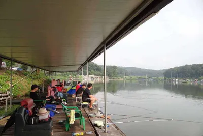 8월 6일 각평지 조황정보