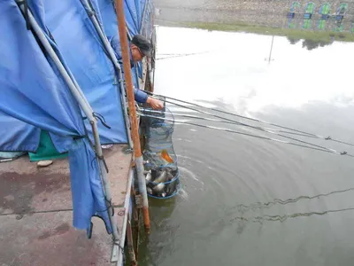 *****실시간 조황사진*****