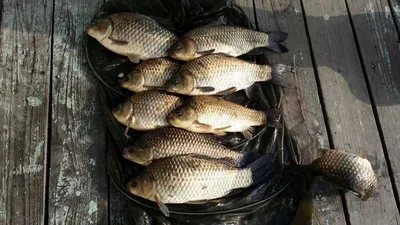 송전지 서울집 5월7일 조황