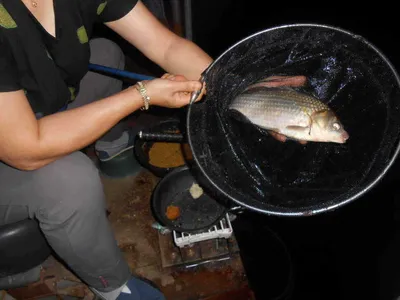 *****실시간 조황사진*****