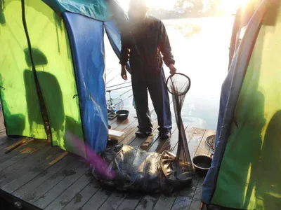 *****실시간 조황올립니다*****