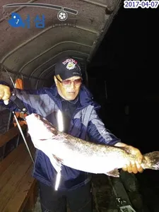 4월7일 어심바다낚시터조황