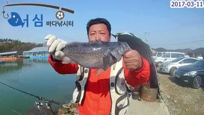 3월11일어심바다낚시터조황(화창한주말-고기와의한판