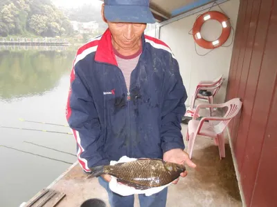 ^^조황소식&수상좌대이벤트^^