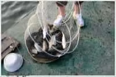 기산낚시터 5월 4일 조황정보