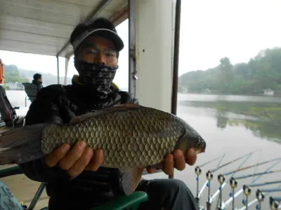당진"가교리지"깊은수심에서도....